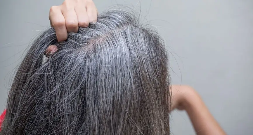 Best Hair Colour for Grey Hair